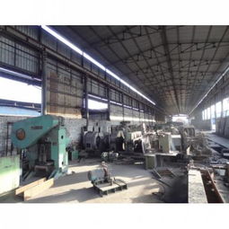 特冶轧钢产品 创新技术引领行业发展