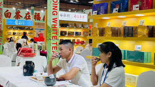 34家福鼎白茶展团亮相景德镇